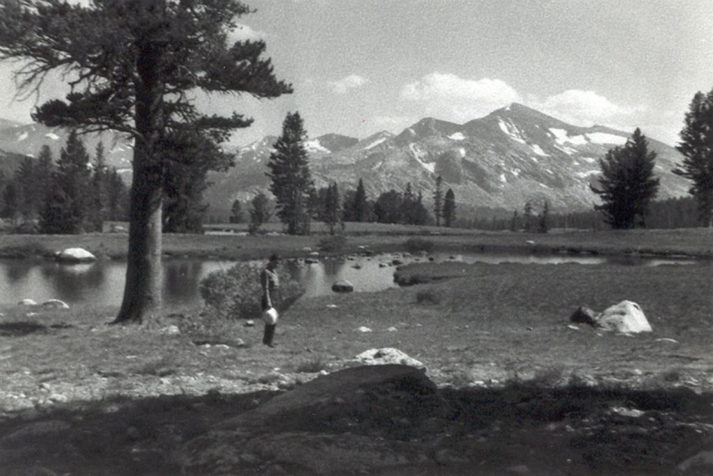 Dana Meadows & Mt. Dana, Yosemite