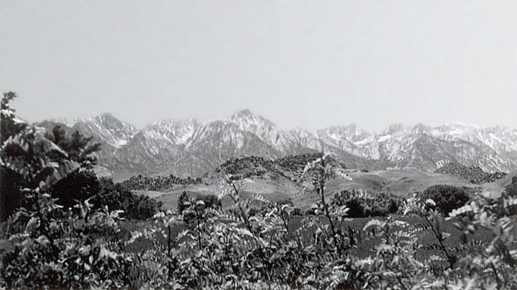 Mt. Whitney from Lone PIne