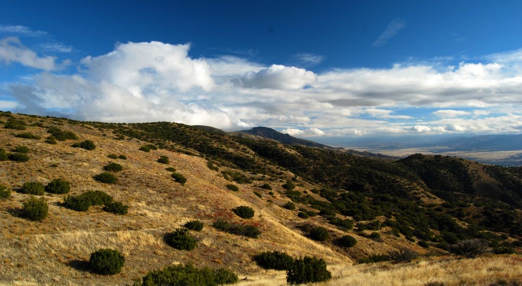 Caliente Mountain, 11/19/11