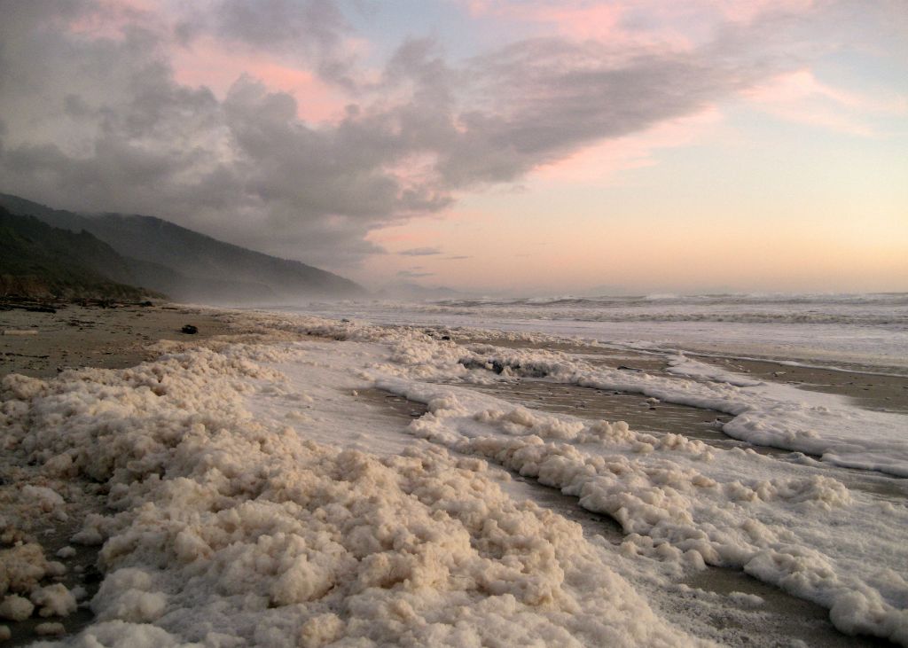 Andrew Molera State Beach, 8/10/10