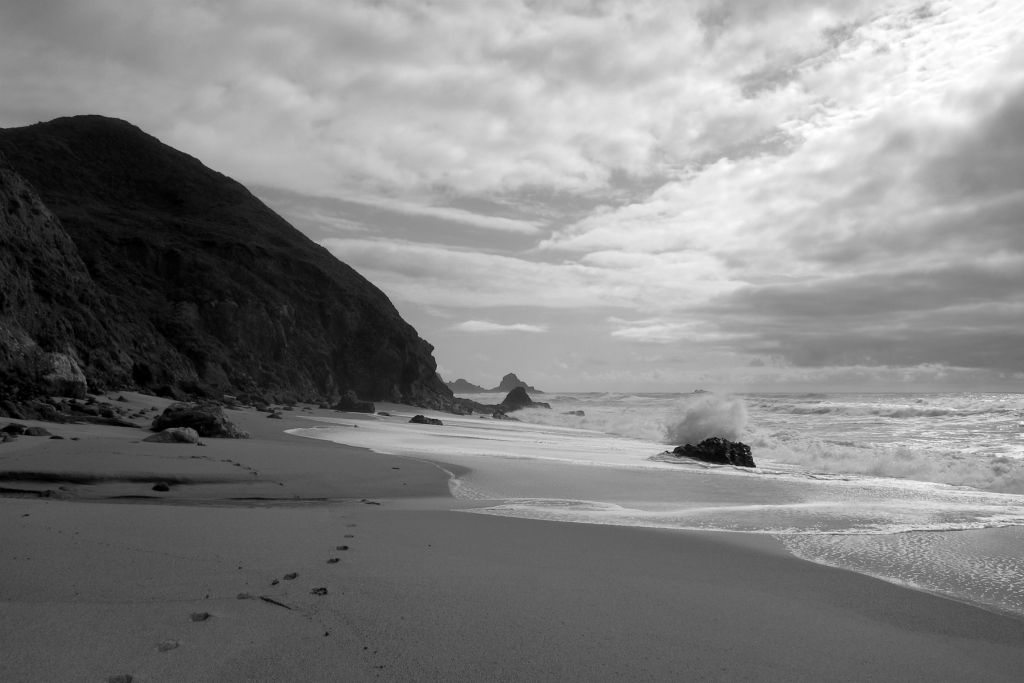 Andrew Molera State Beach, 2/20/10