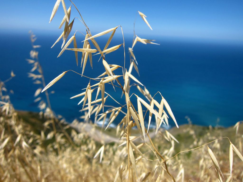 Cruikshank Trail, 6/20/10