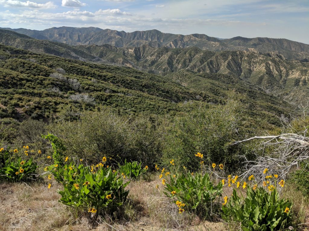 Los Padres NF, 5/18/18