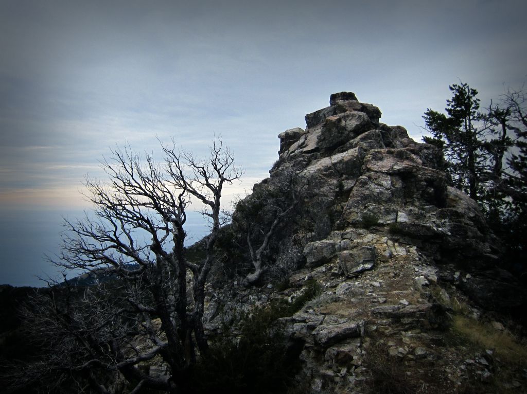 Rocky Outcropping along the Cone Peak Trail, 2/3/12