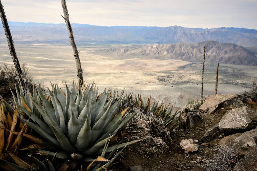Near Rabbit Peak, 3/4/17