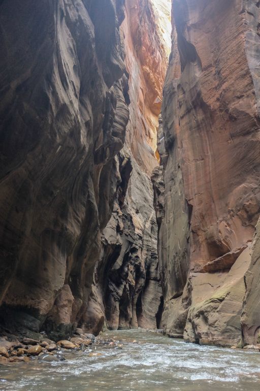 The Narrows, Zion NP, 11/20/17