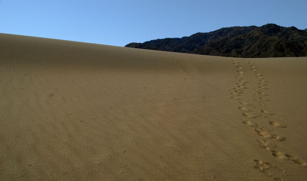 Mesquite Sand Dunes, 5/30/11