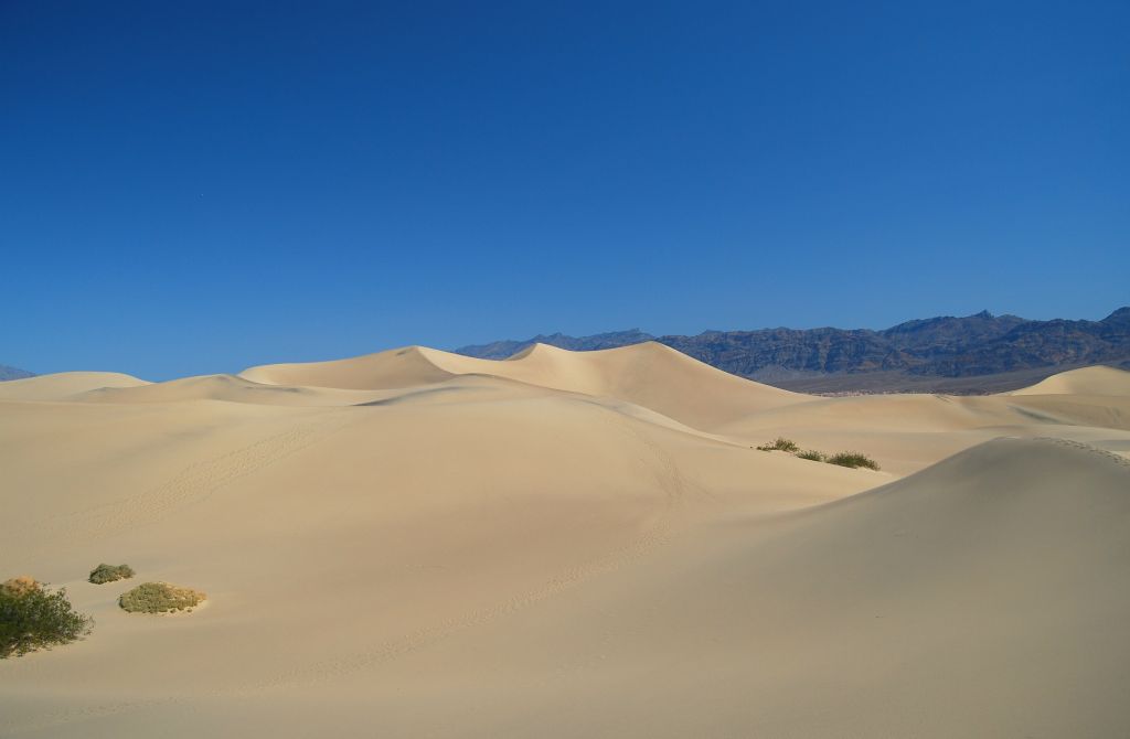Mesquite Sand Dunes, 5/30/11