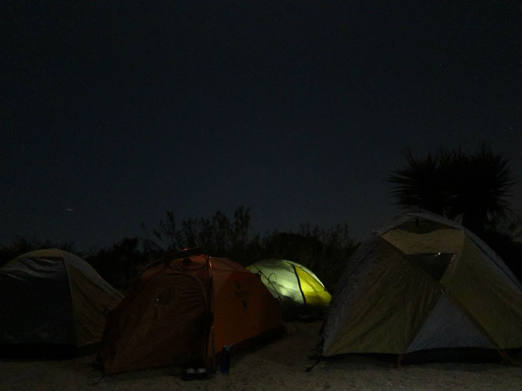 Joshua Tree National Park, 3/26/10