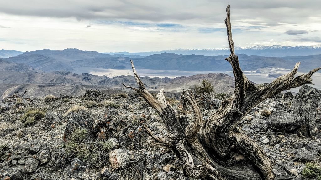 Near Last Chance Mountain, 4/15/19