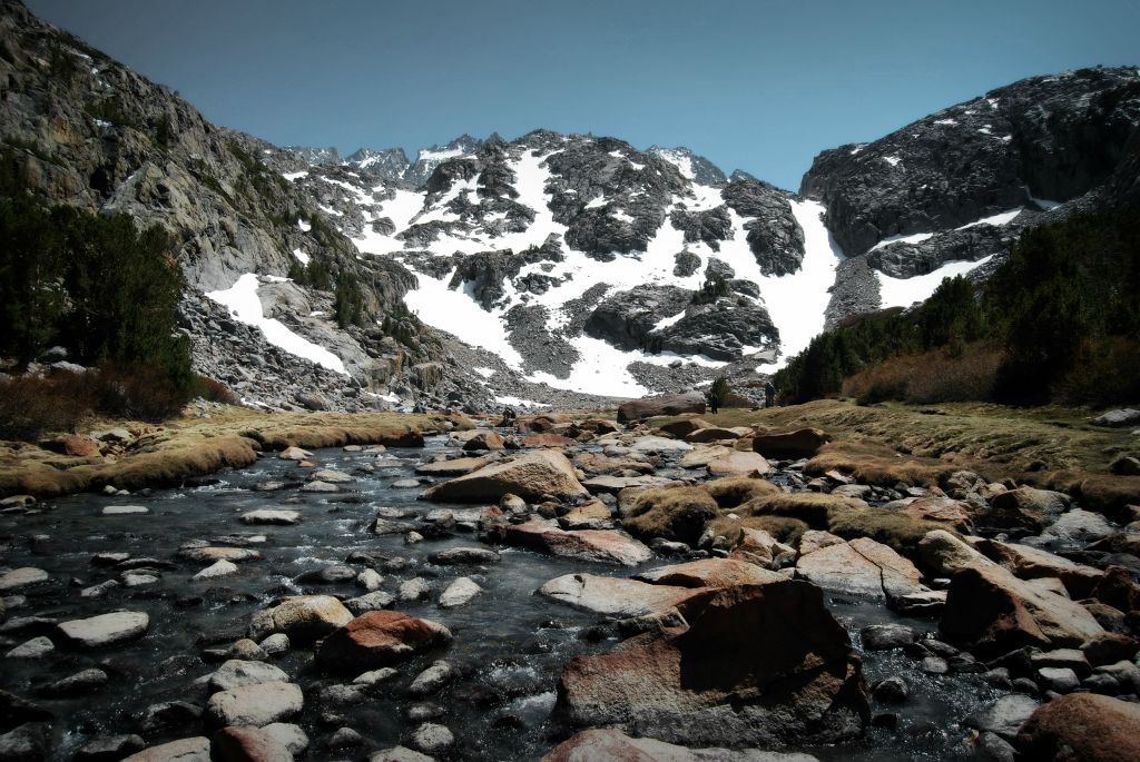 Sam Mack Meadow, 6/3/12