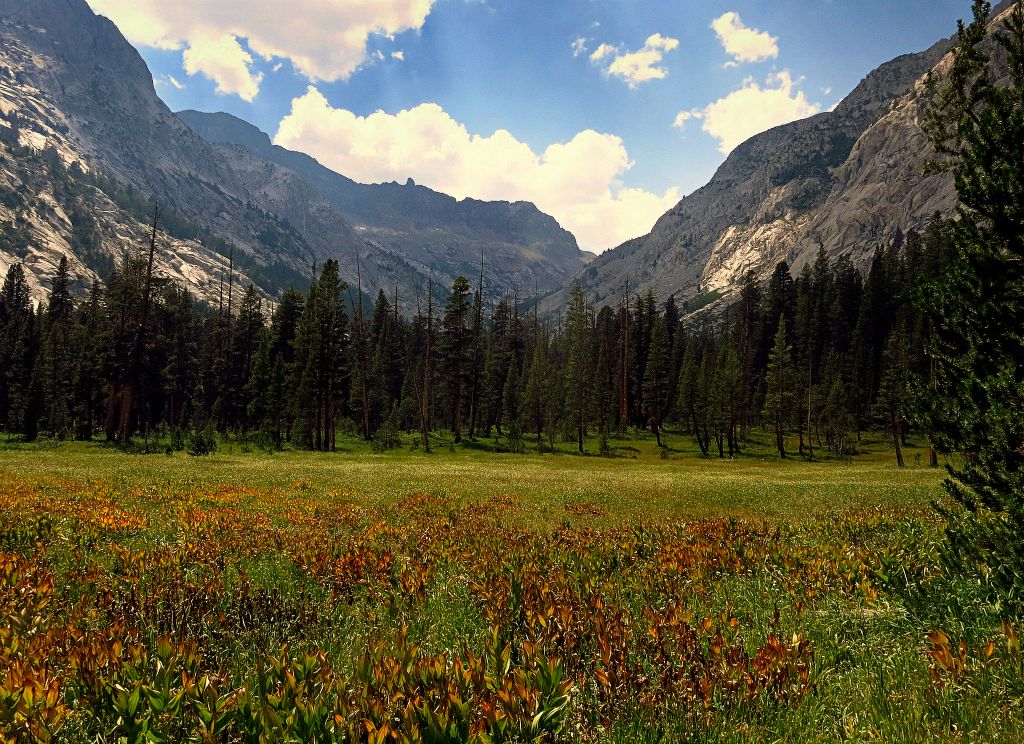 Big Peet Meadow, 8/1/14