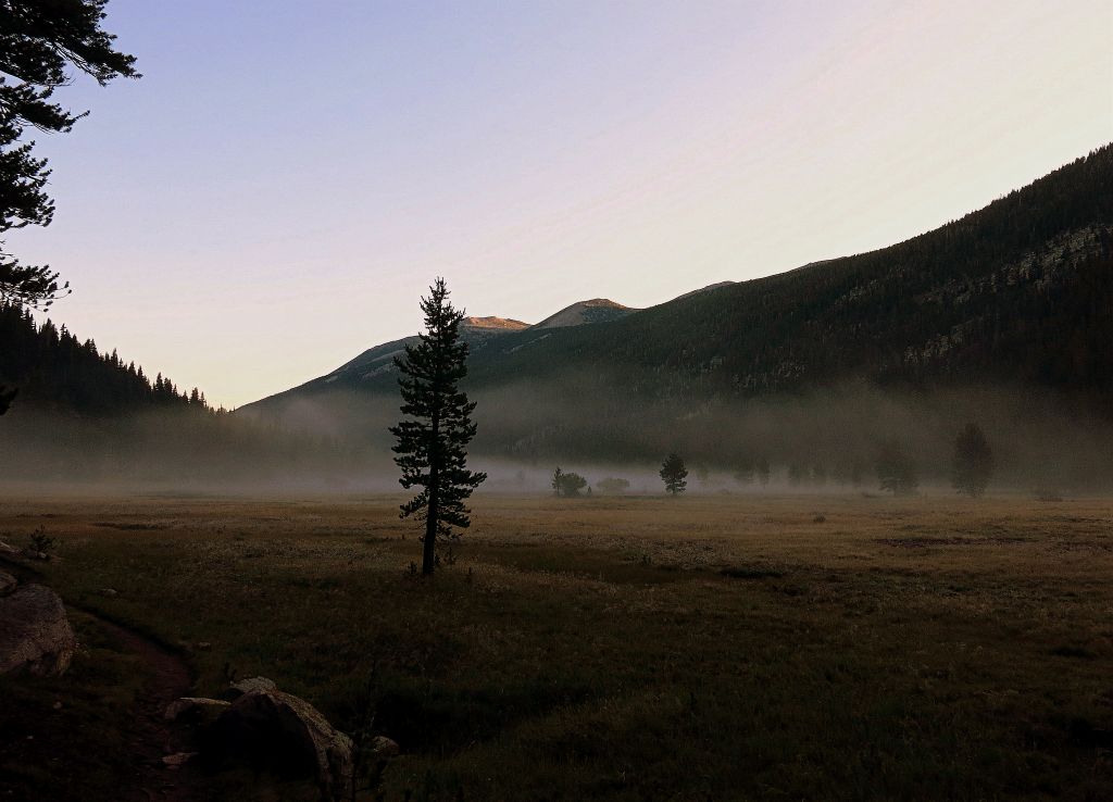 Lyell Canyon, 8/7/14