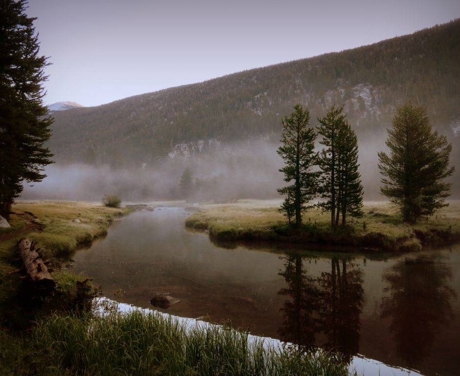 Lyell Canyon, 8/7/14